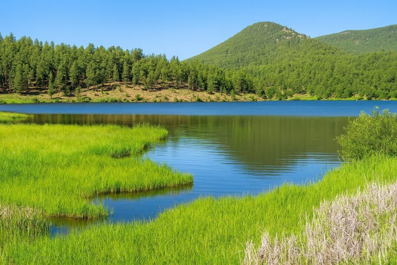 Best Shower Installation pros in Leadville, CO